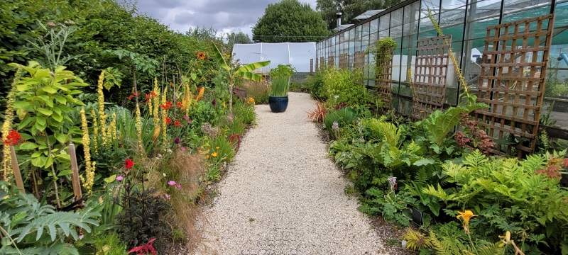 Mires Beck Nursery